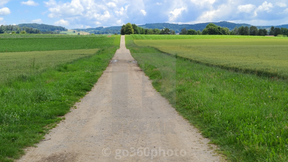 "Natur in the Black Forest" stock image