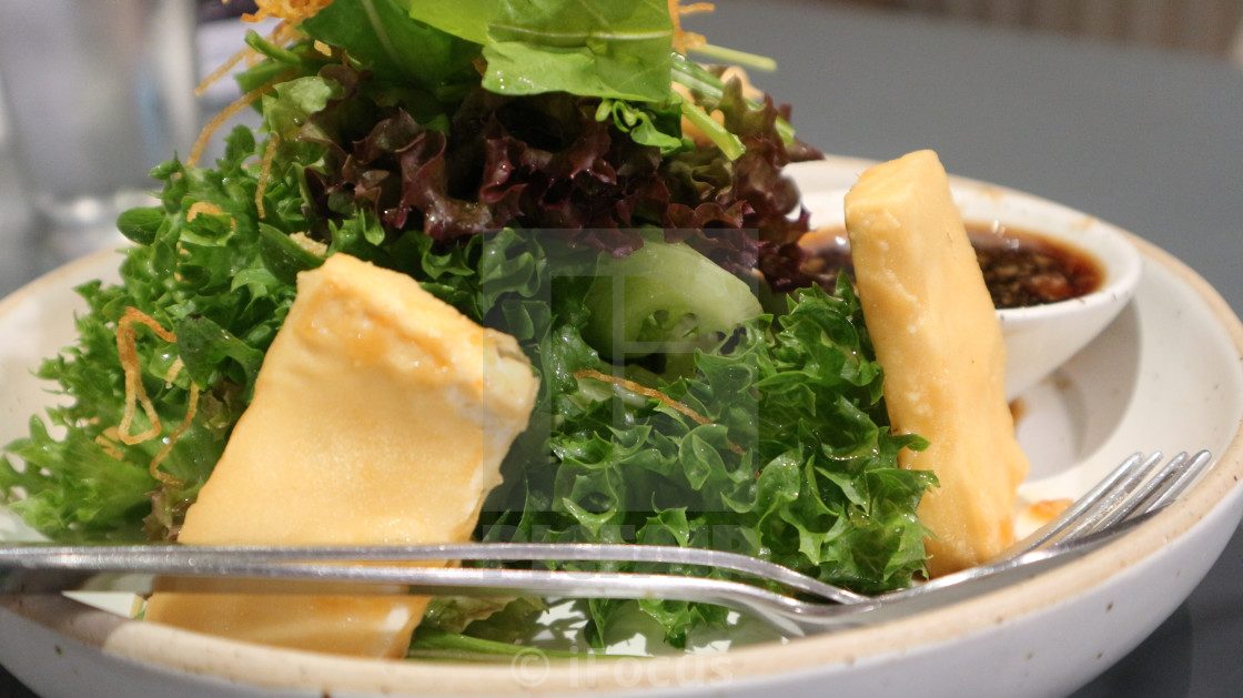 "Healthy vegetarian salad with tofu" stock image