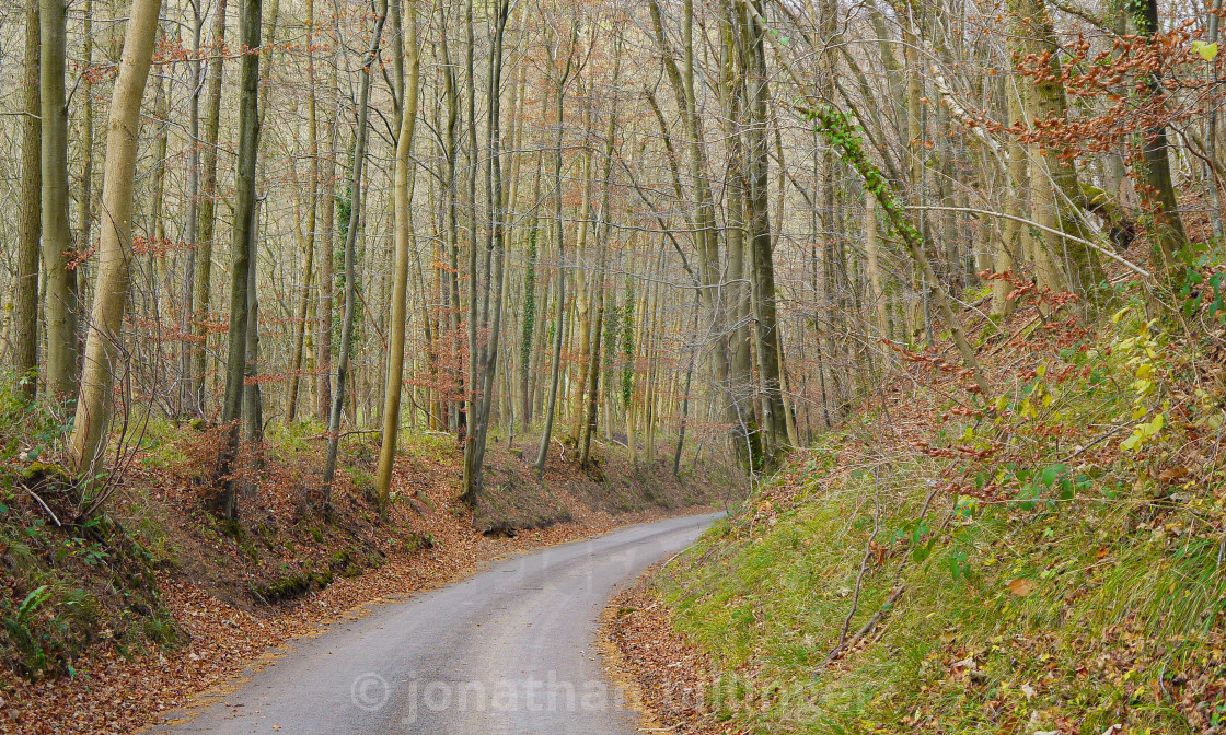 "Country Lane in December, 1" stock image