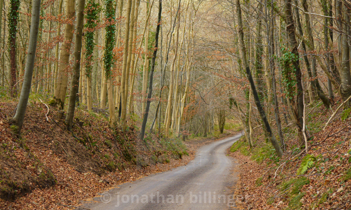 "Country Lane in December, 2" stock image