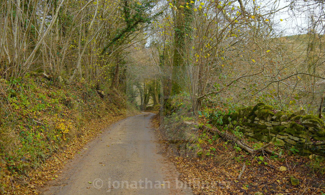 "Country Lane in December, 3" stock image