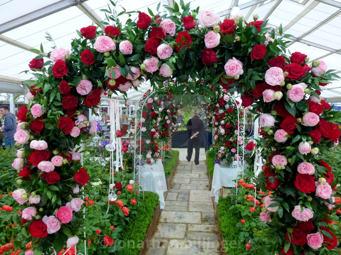 "Rose Arch" stock image