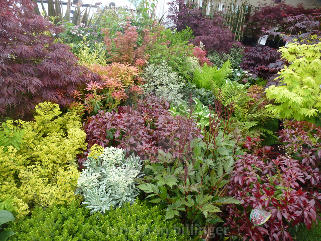 "Spring Garden Plant Display, 2" stock image