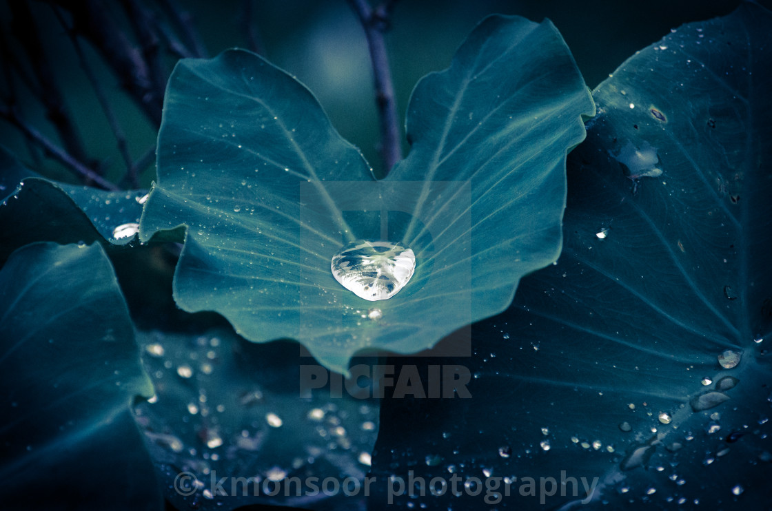 "Drop & the droplets" stock image
