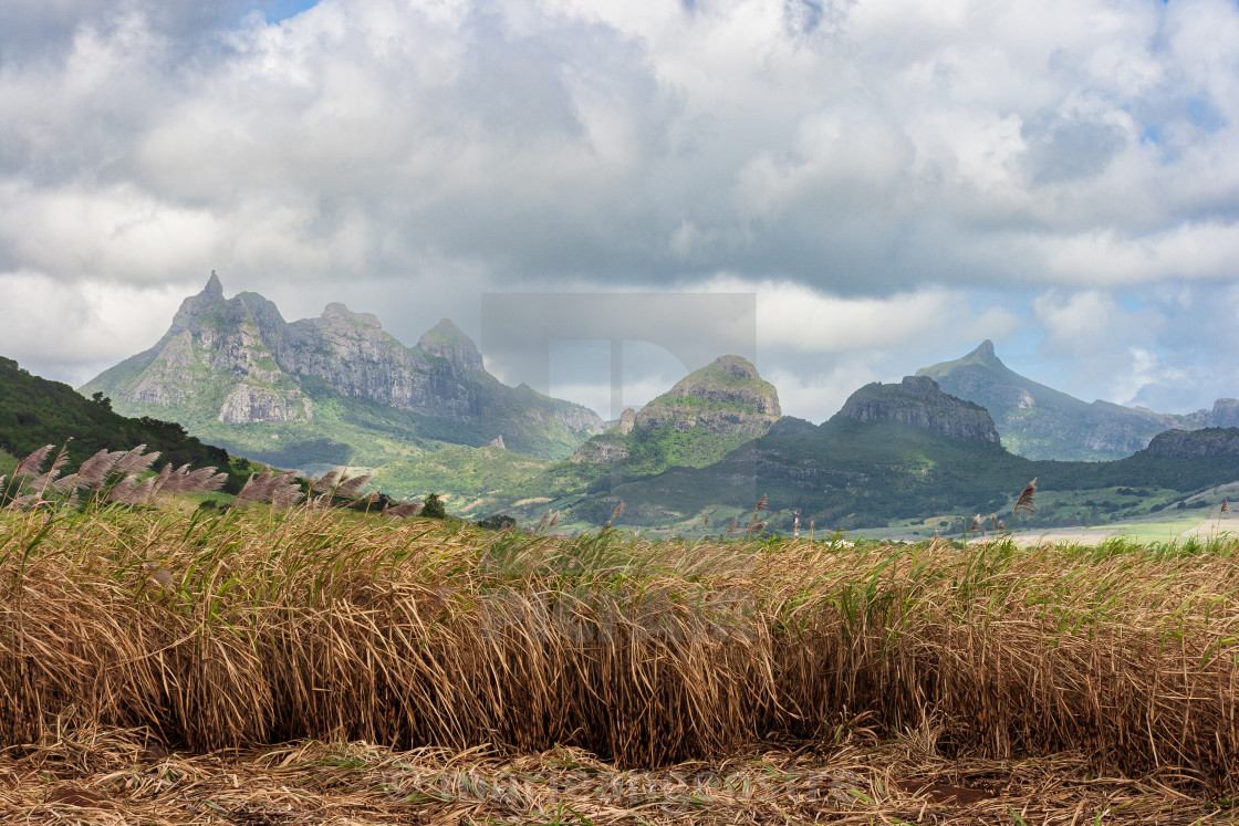 "Mauritius island, sugar cane field and summits" by - $8.89 "Mauritius island, sugar cane field and summits" stock image