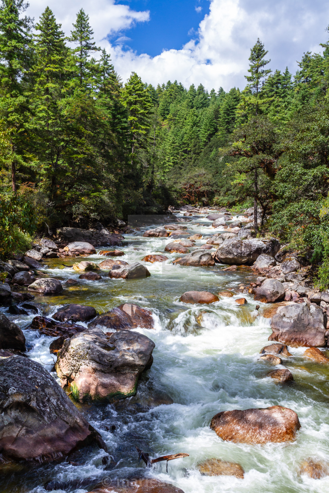 "Bhutan, river in Western Bhutan" stock image