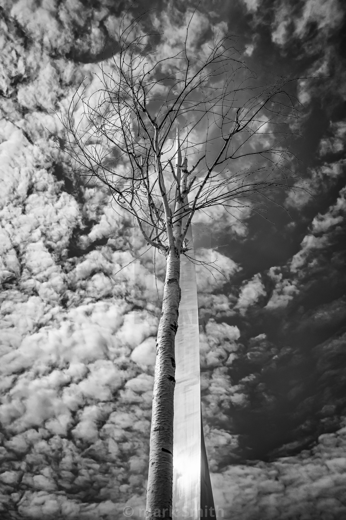 "Wood against steel" stock image