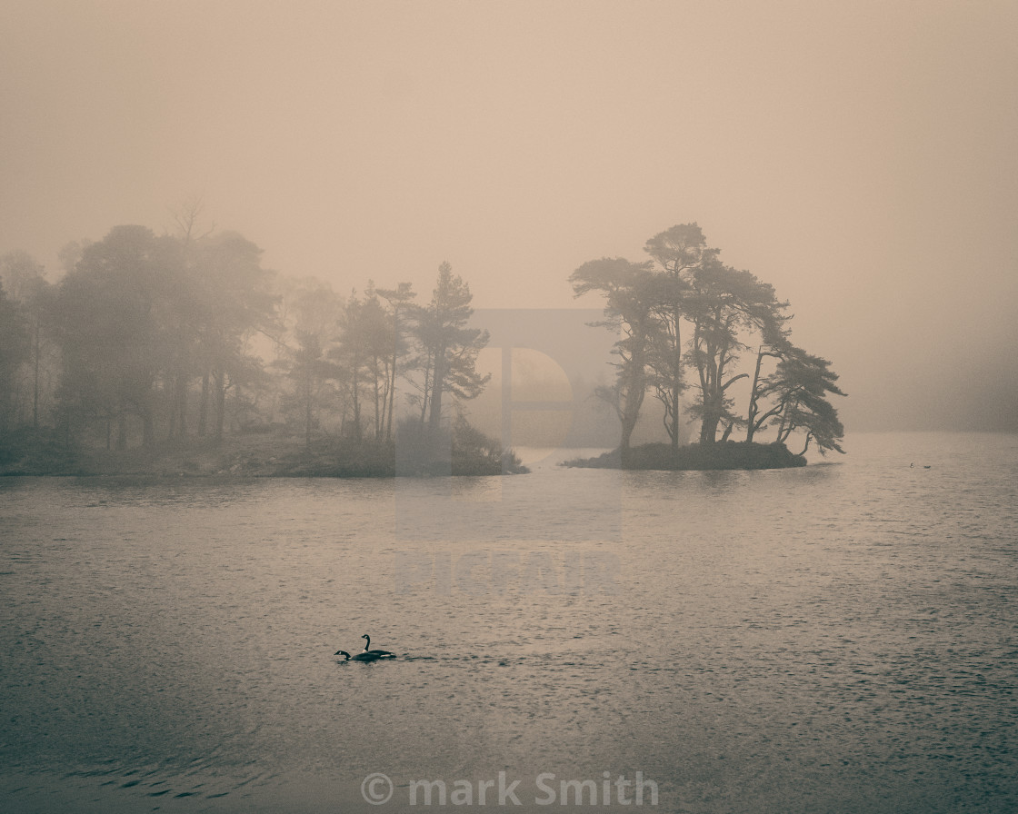 "Tarn Hows in fog" stock image