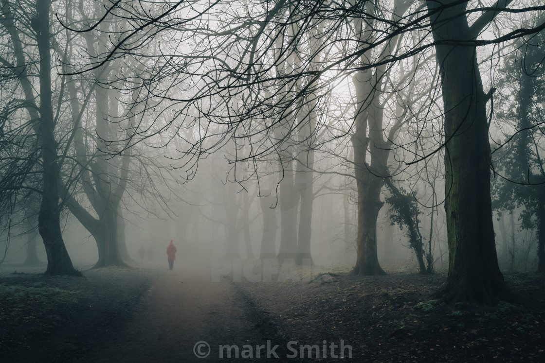 "winter walk in mist, nonsuch park" stock image