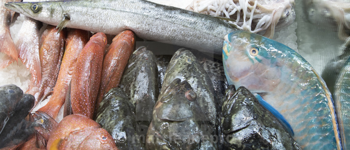 "Seafood at the Market" stock image