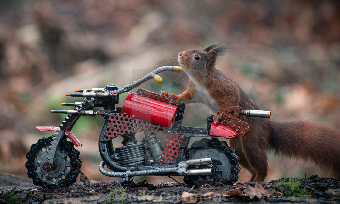 "Enjoy the ride" stock image