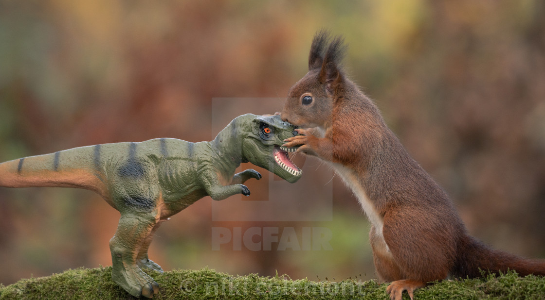 "Dinosaur VS Red Squirrel" stock image