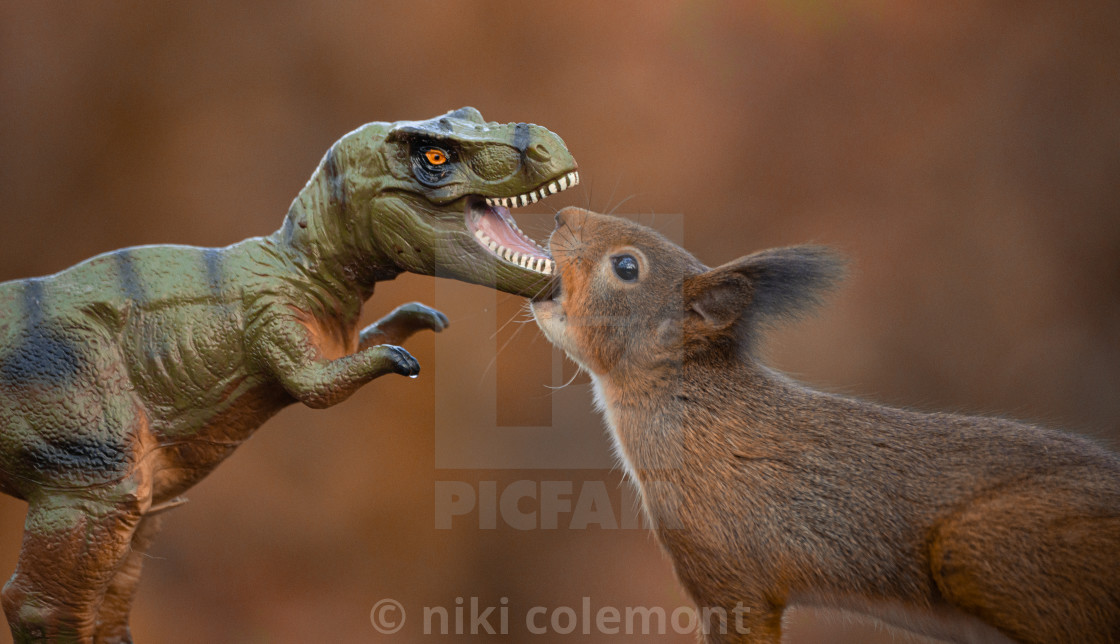 "Dinosaur VS Red Squirrel Round 6" stock image