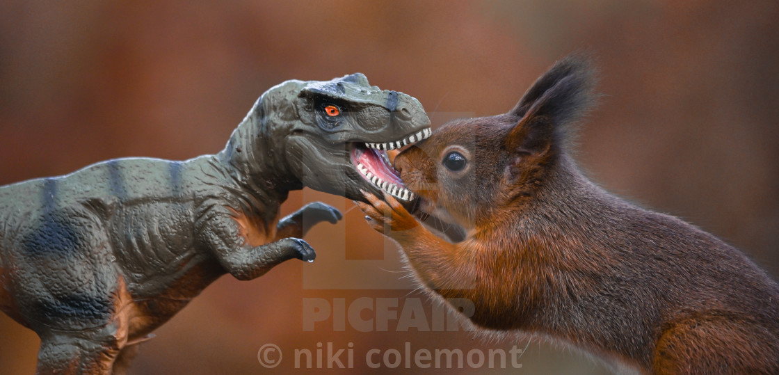 "Dinosaur VS Red Squirrel Round 7" stock image