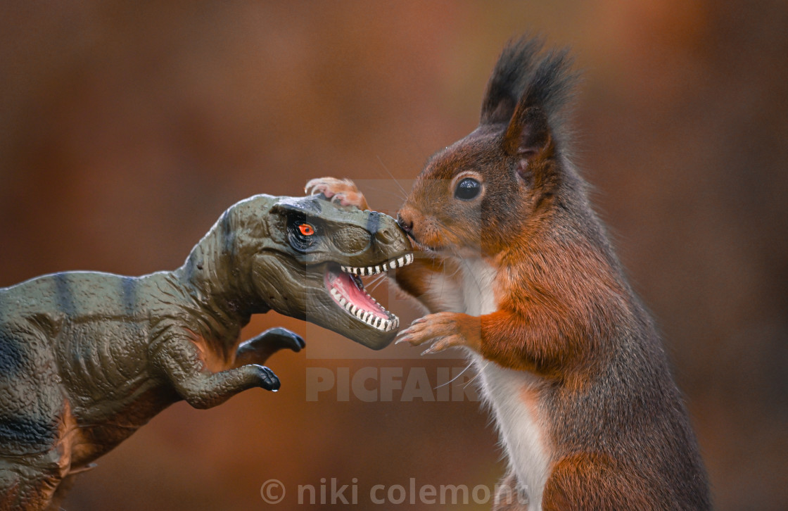 "Dinosaur VS Red Squirrel Round 8" stock image