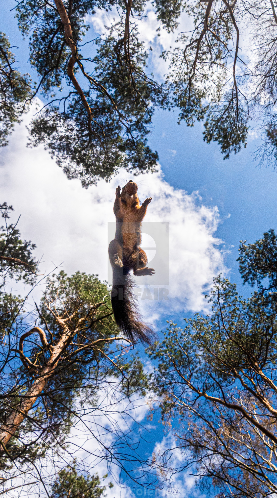 "I believe I can fly" stock image