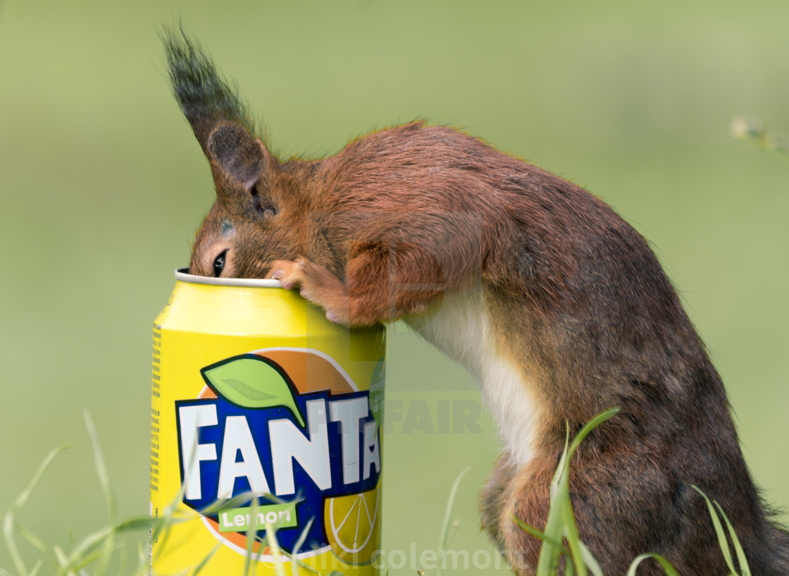 "Fanta" stock image