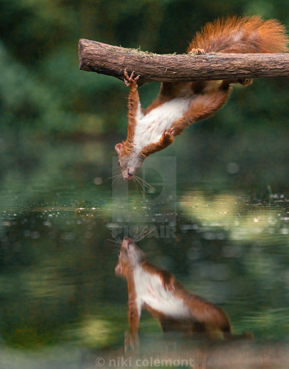 "Mirror" stock image