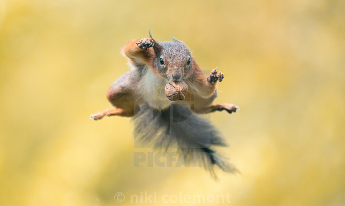 "Super Hero" stock image