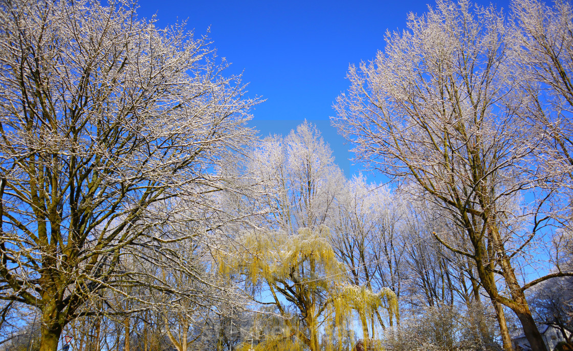 "Spring" stock image