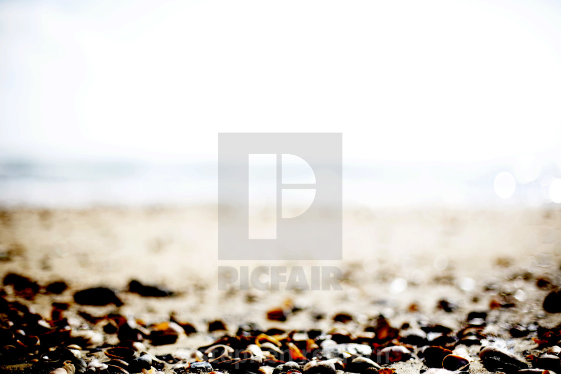 "beach" stock image