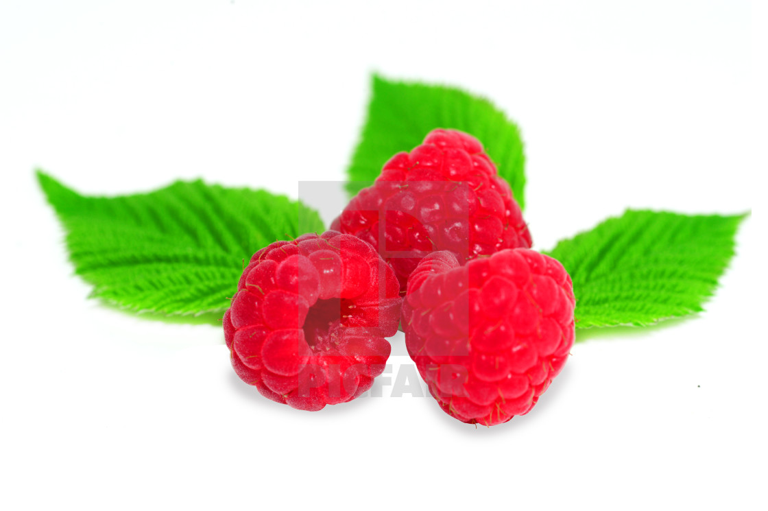from £9.92