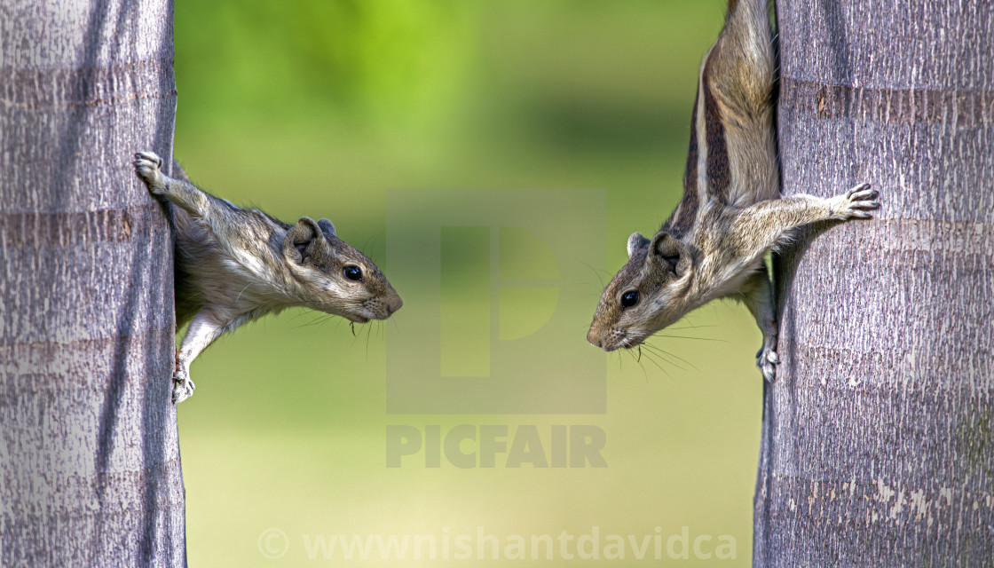 "Communication Is Key." stock image