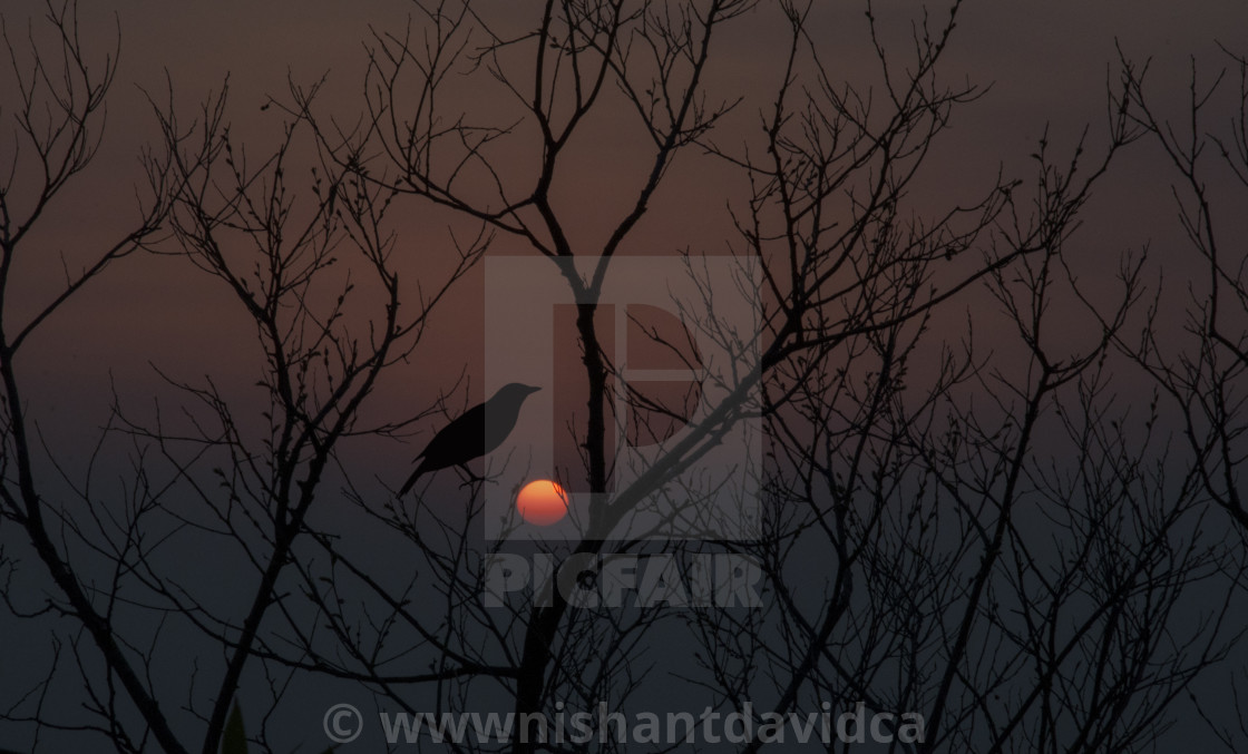 "The Sun Set Point, Kasauli" stock image