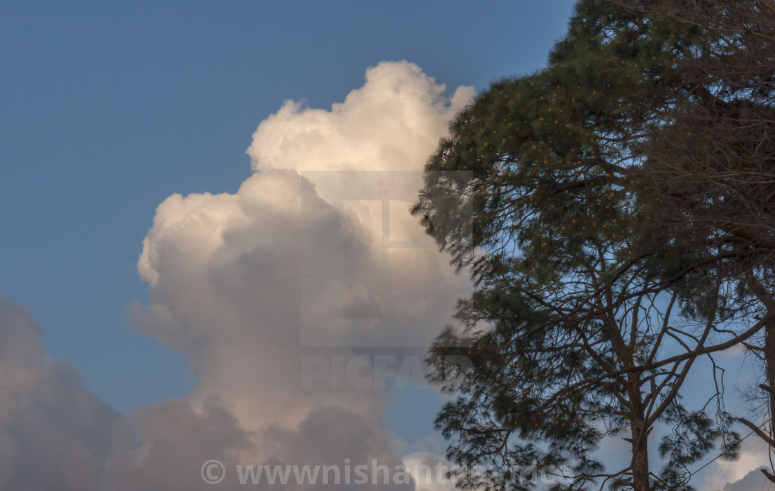 "Beautiful Clouds" stock image