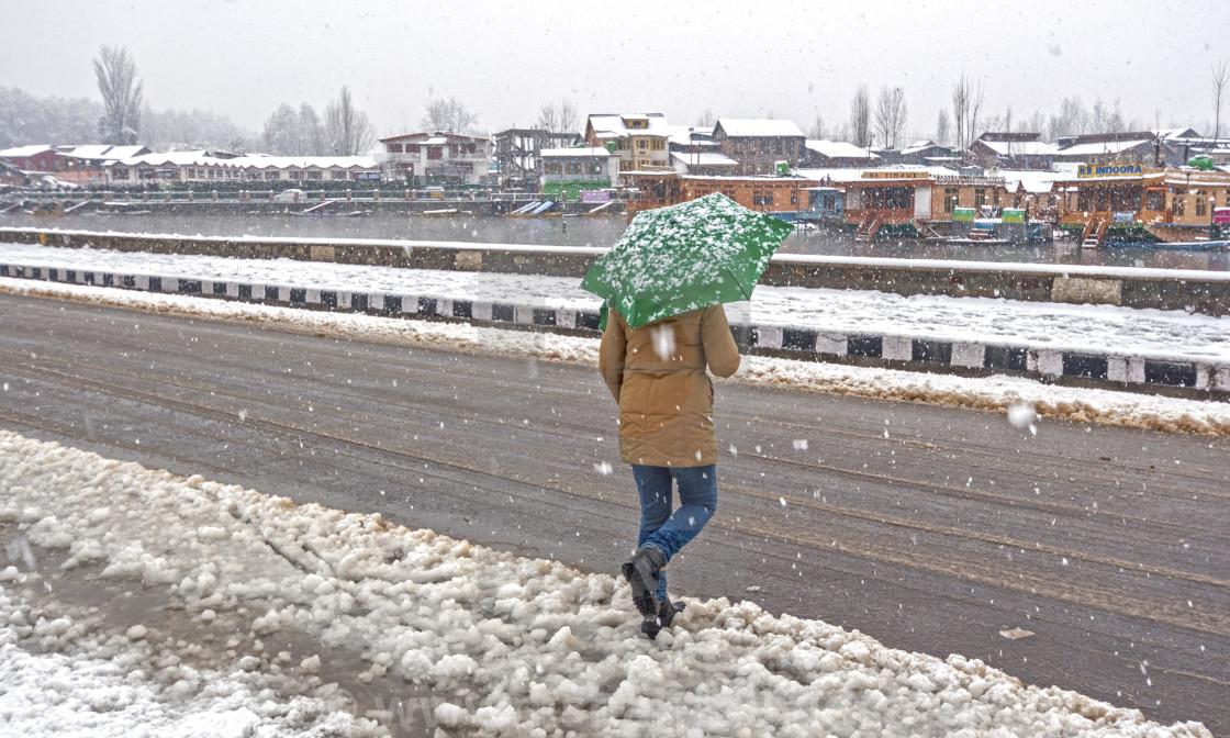 "A Walk In the Snow." stock image