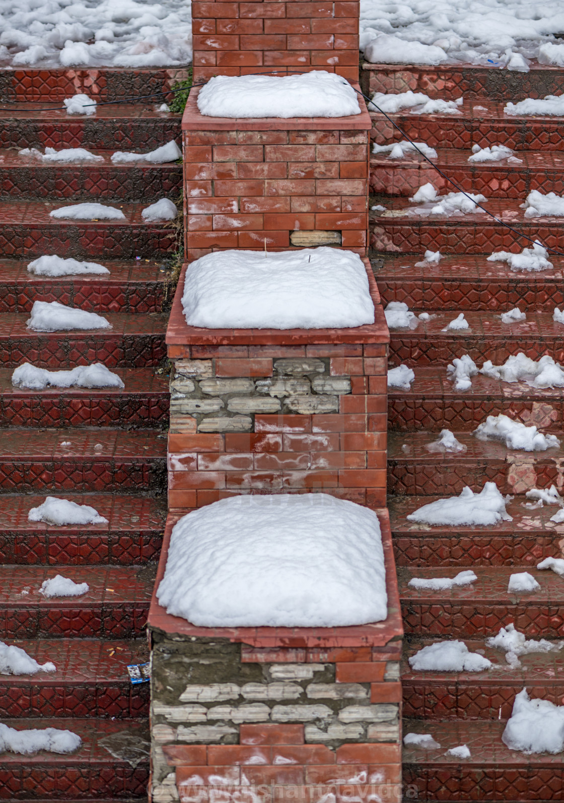 "A Beautiful Natural Pattern" stock image