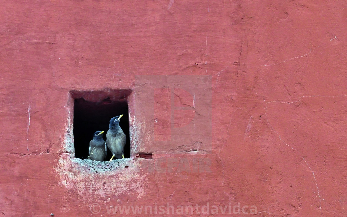 "Jantar Mantar" stock image