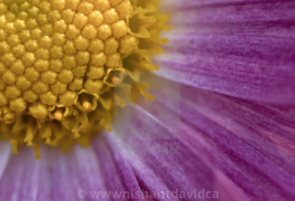 "God's Amazing Handiwork" stock image