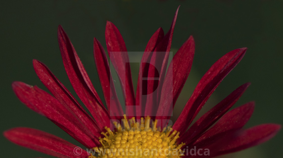 "God's Amazing Handiwork" stock image