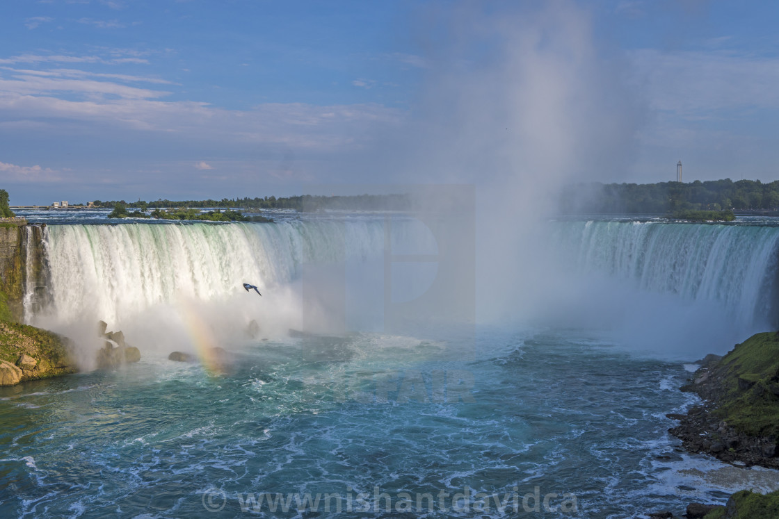 "The Niagara Falls" stock image