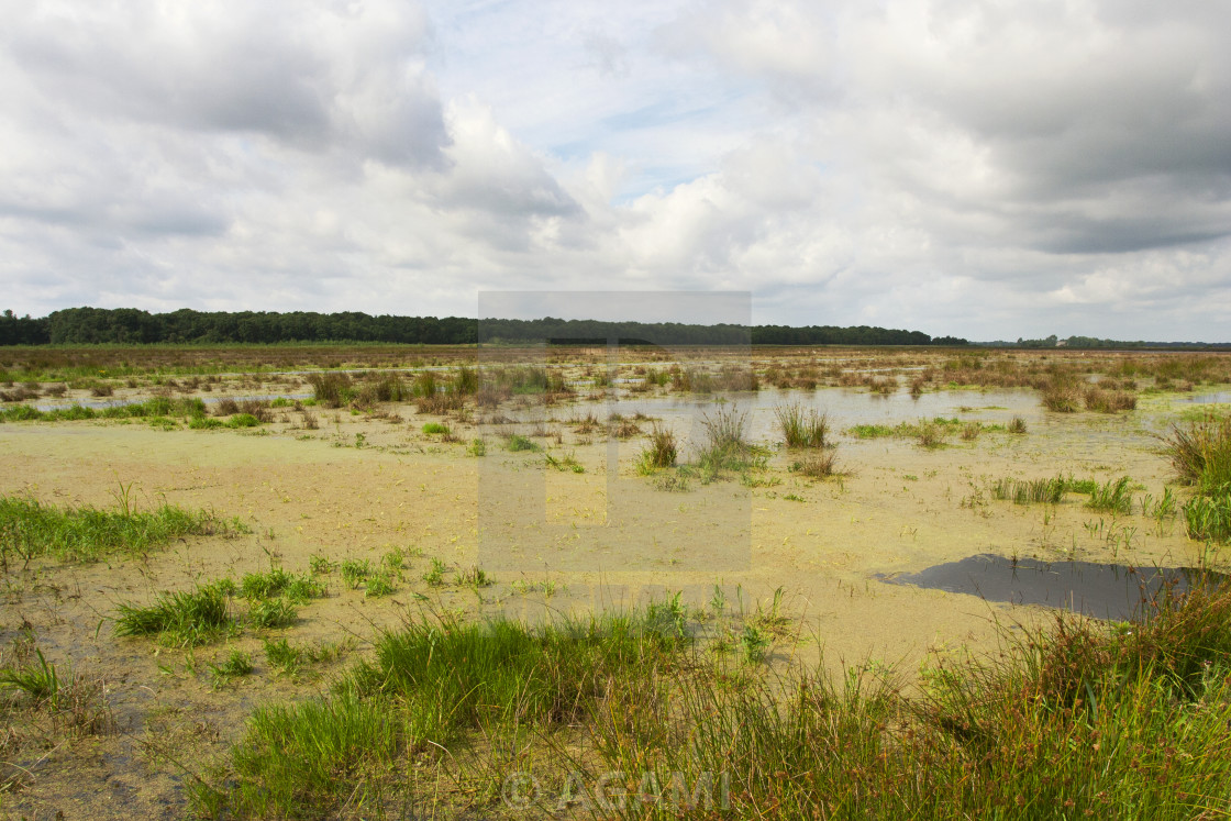 "Kropswolderbuitenpolder, Groningen (Nederland / Netherlands)" by AGAMI - $23.38 "Kropswolderbuitenpolder, Groningen (Nederland / Netherlands)" stock image