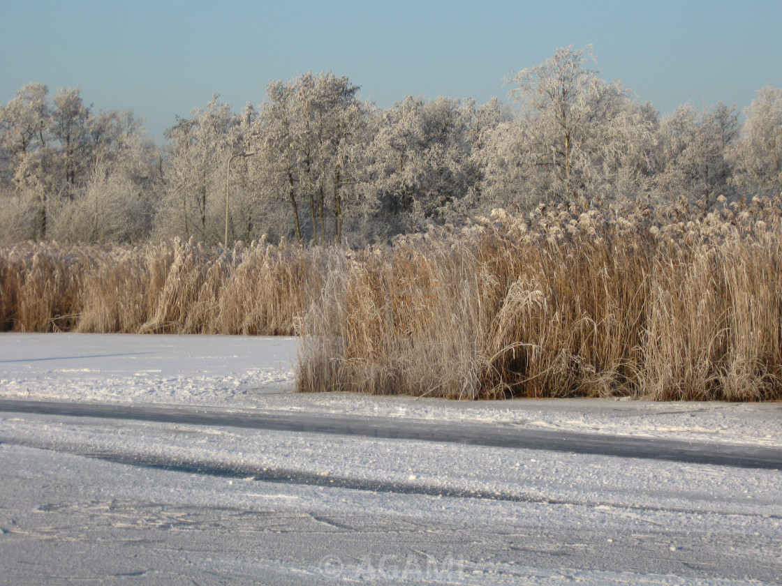 De Wieden Overijssel Nederland Netherlands License Download