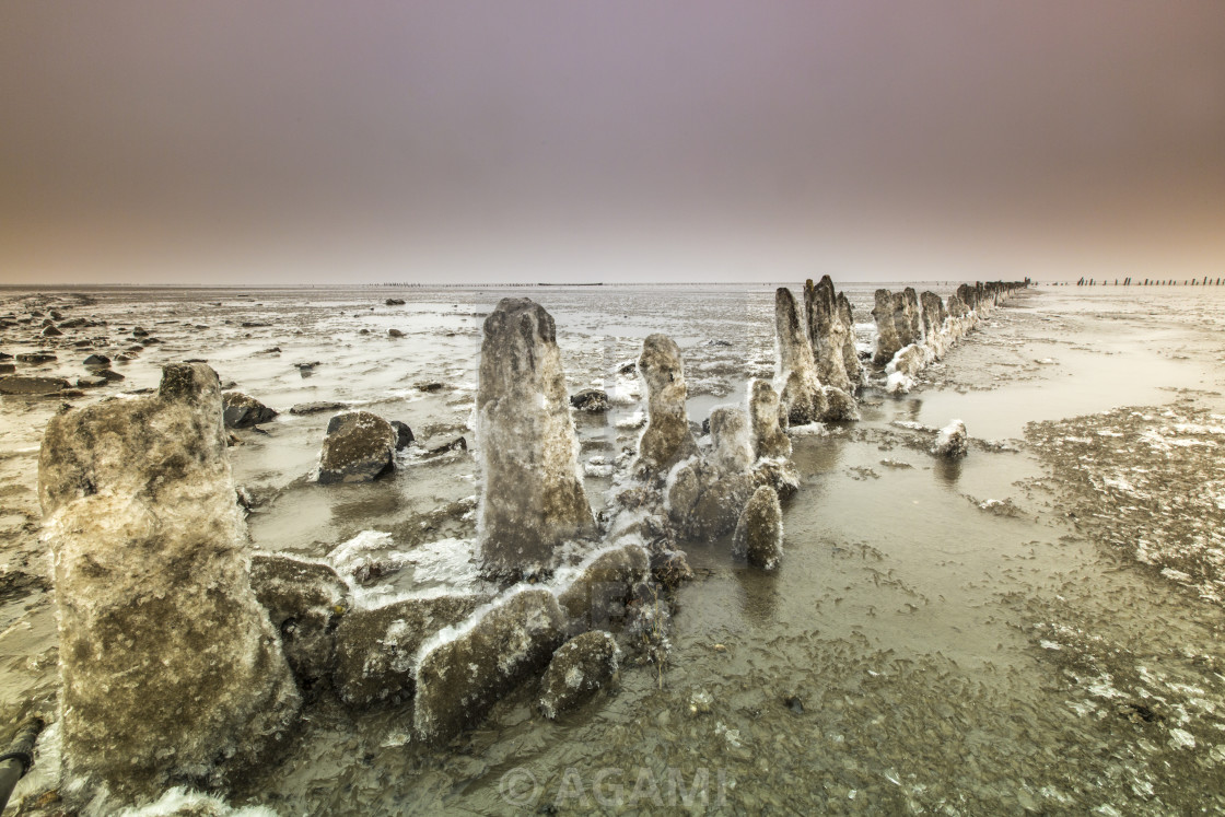 "Wierumerwad, Wadden sea" stock image