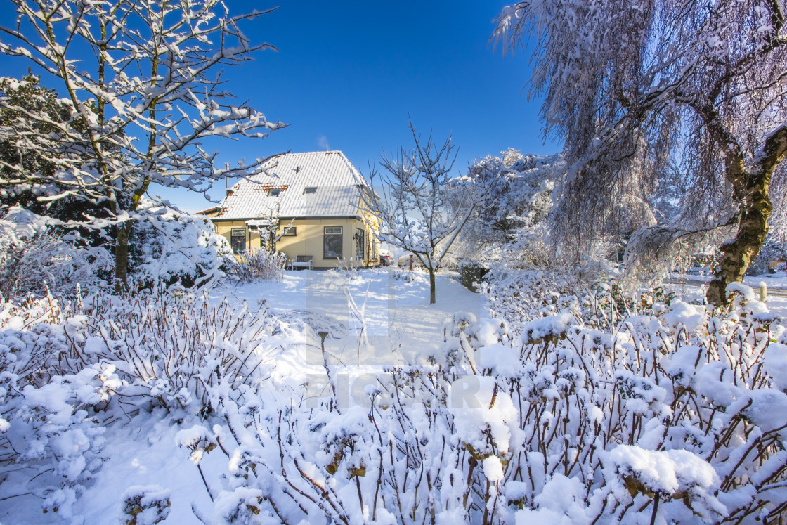 "Winter garden" stock image