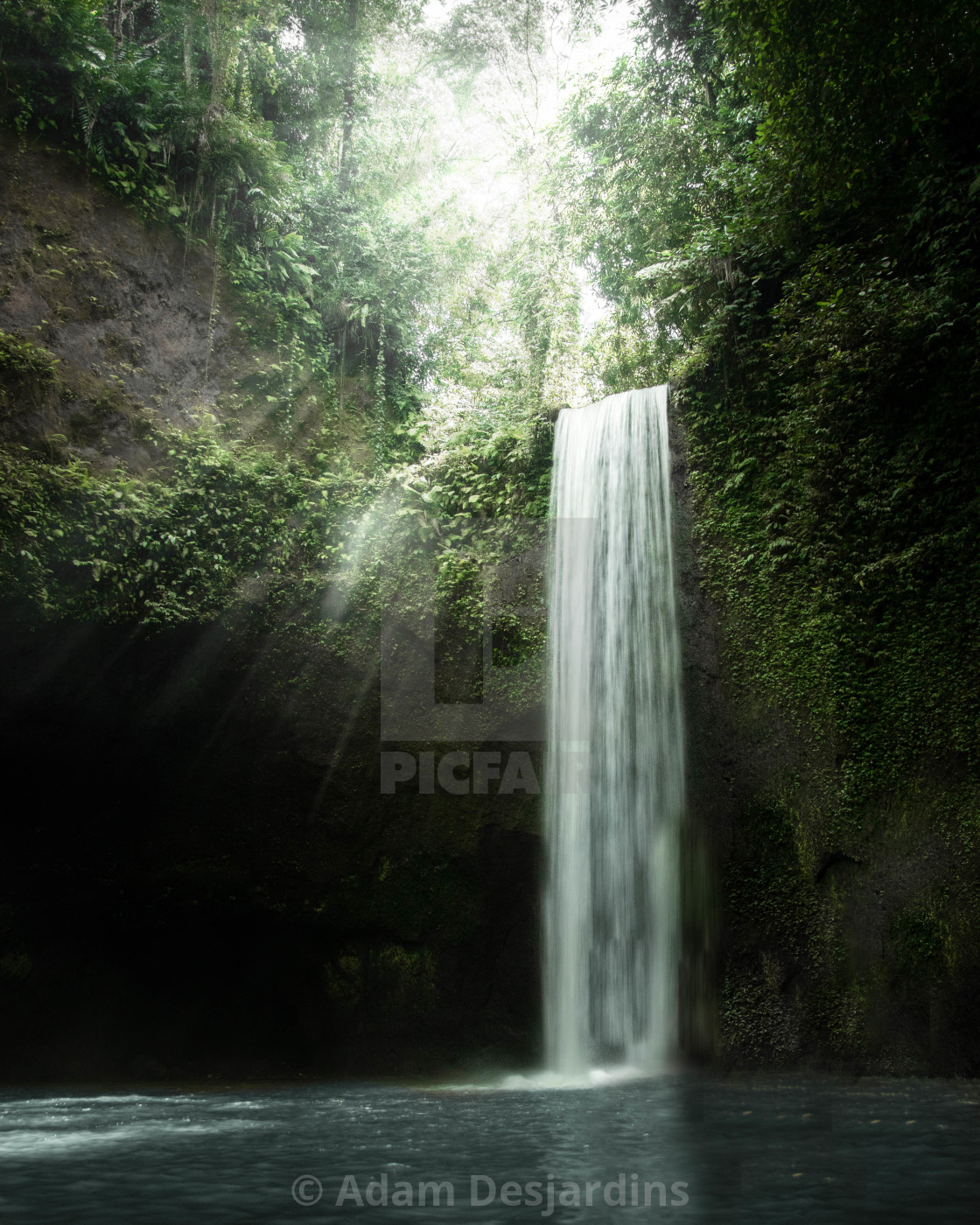 "Hidden Paradise" by Adam Desjardins - £14.00 "Hidden Paradise" stock image