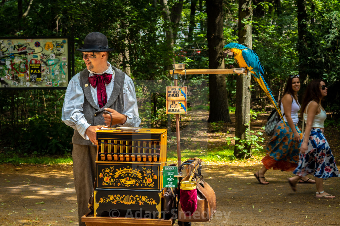 "Brandenburg Busker" by Adam Smedley - $7.72 "Brandenburg Busker" stock image