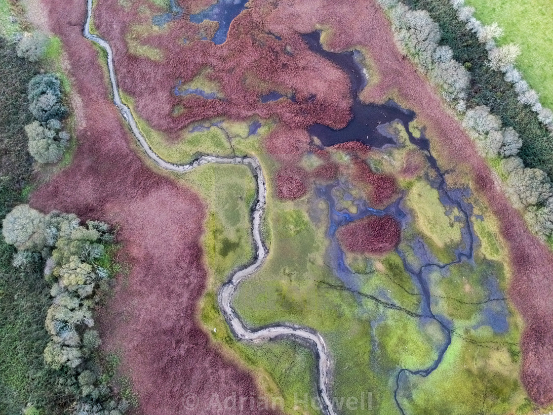 "Veins of the Earth" by Adrian Howell - $23.18 "Veins of the Earth" stock image