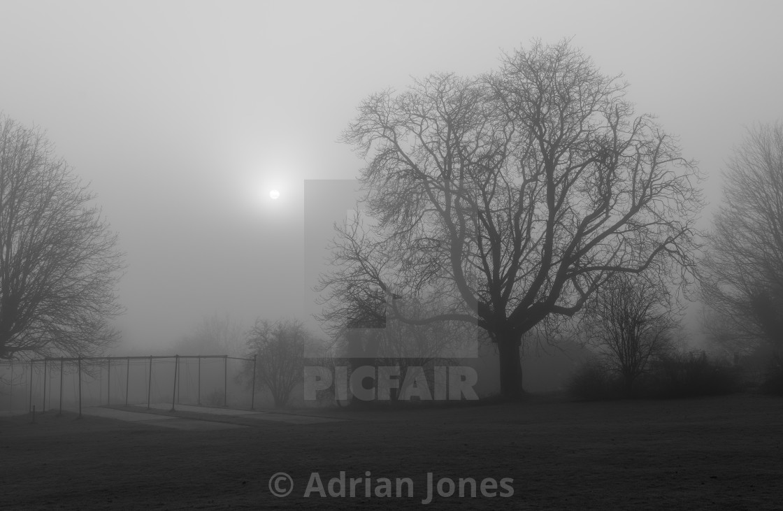 "Cricket Practice Nets" by Adrian Jones - $15.41 "Cricket Practice Nets" stock image
