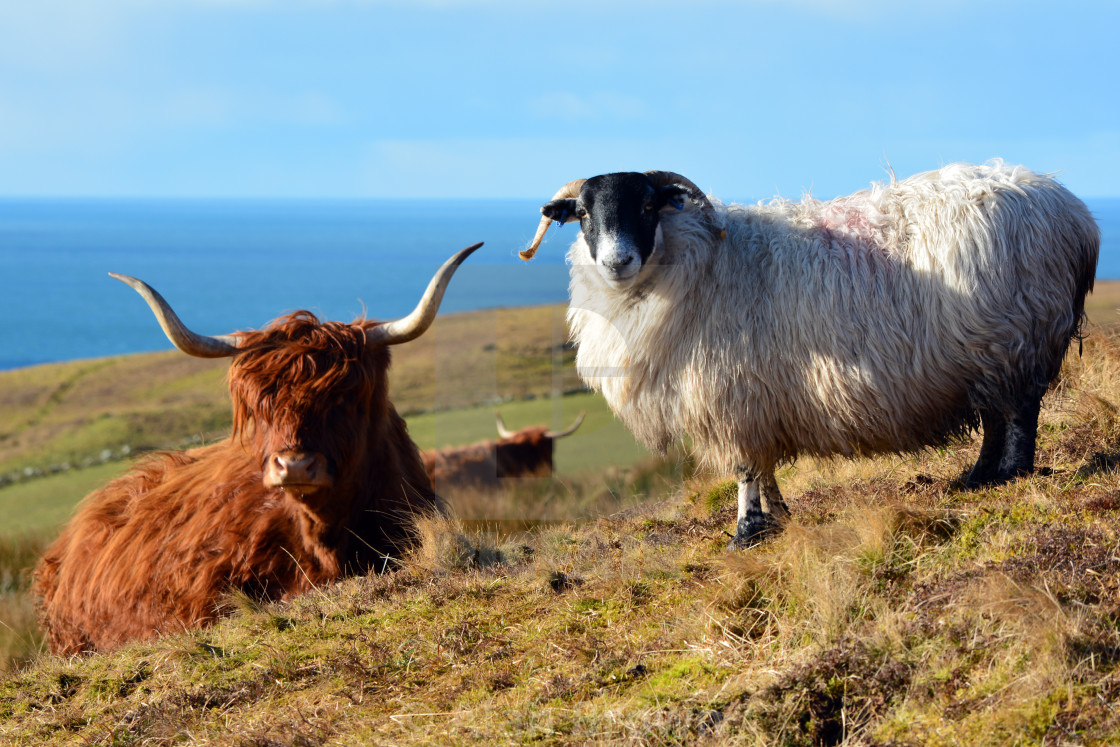 "Kilchiaran, Islay" stock image