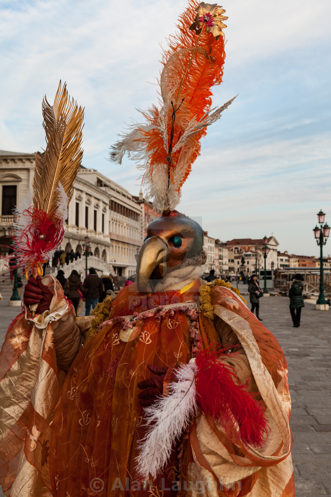 "Strutting in Venice" stock image