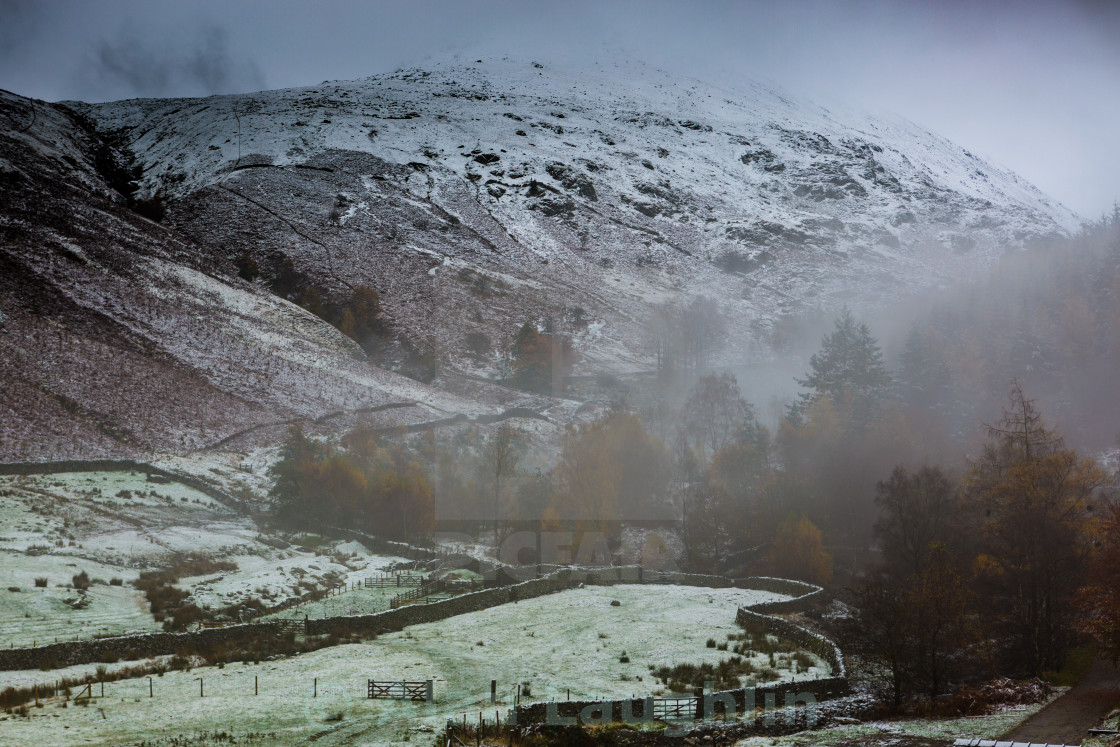 "First snow" stock image