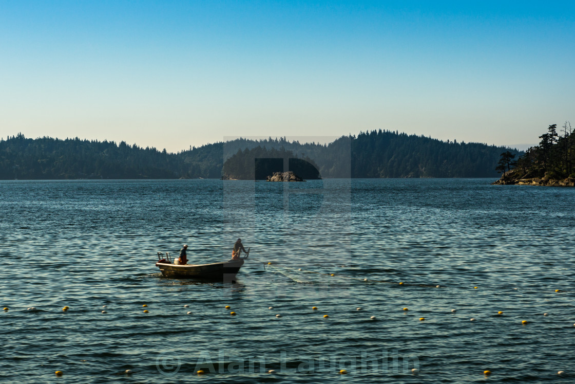 "Pulling in the net" stock image