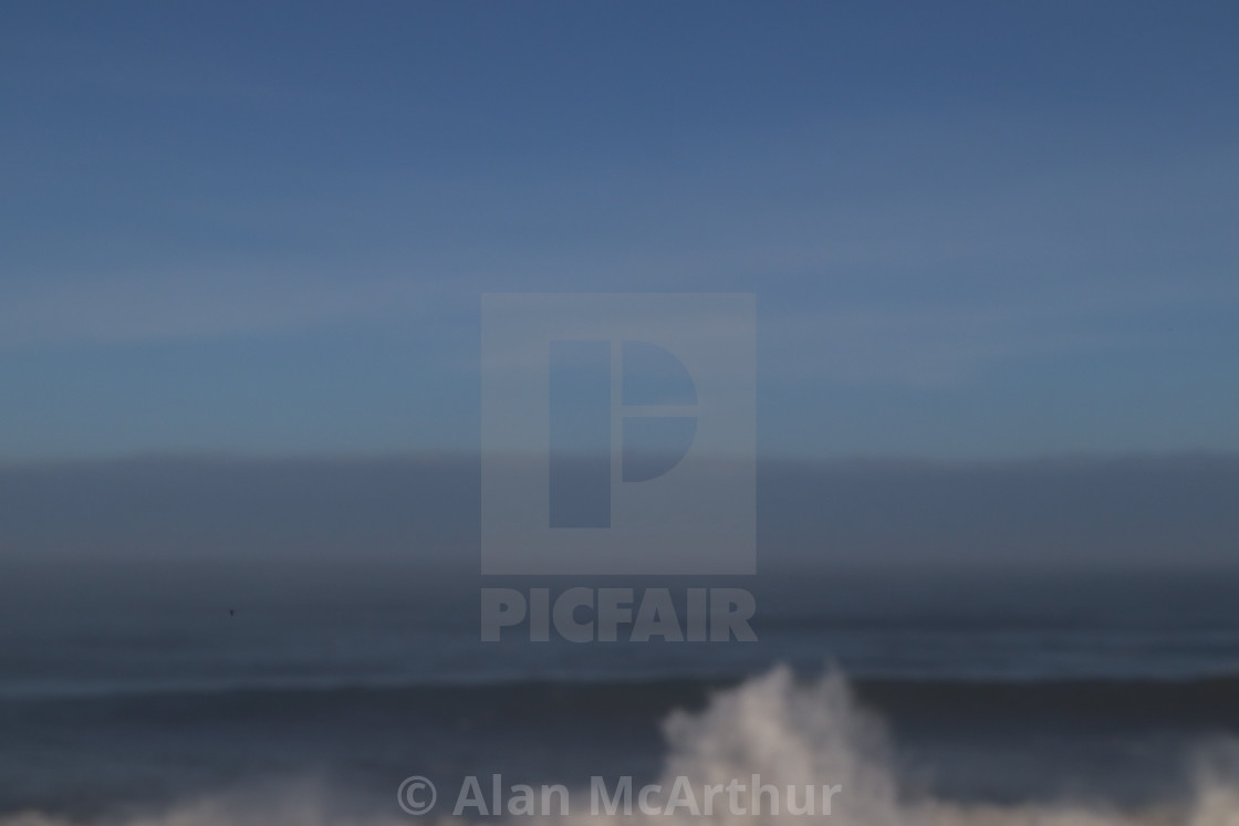"Popping Up" by Alan McArthur - $76.83 "Popping Up" stock image