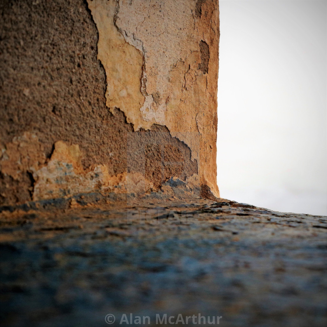 "The Art of Decay" by Alan McArthur - $76.83 "The Art of Decay" stock image