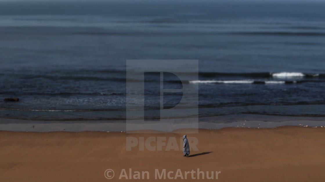 "Paradisein Miniature" by Alan McArthur - $77.88 "Paradisein Miniature" stock image